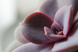 Natural Soul Jewels: Jewelry That Speaks to the Heart and Soul